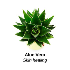Aloe Vera with Skin Healing label