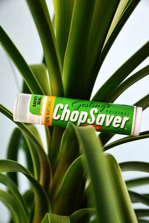 Best Lip Balm for Cold Sores