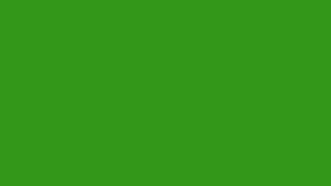 Green ChopSaver Background