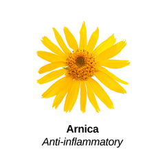 Arnica with Anti-Inflammatory label