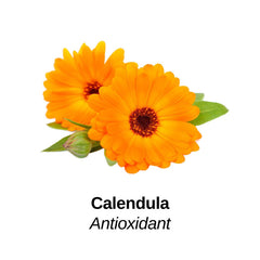 Calendula with Antioxidant label