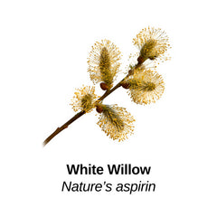 White Willow with Nature's aspirin label